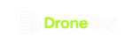 ds logo transparent